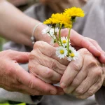 Elderly Care Service